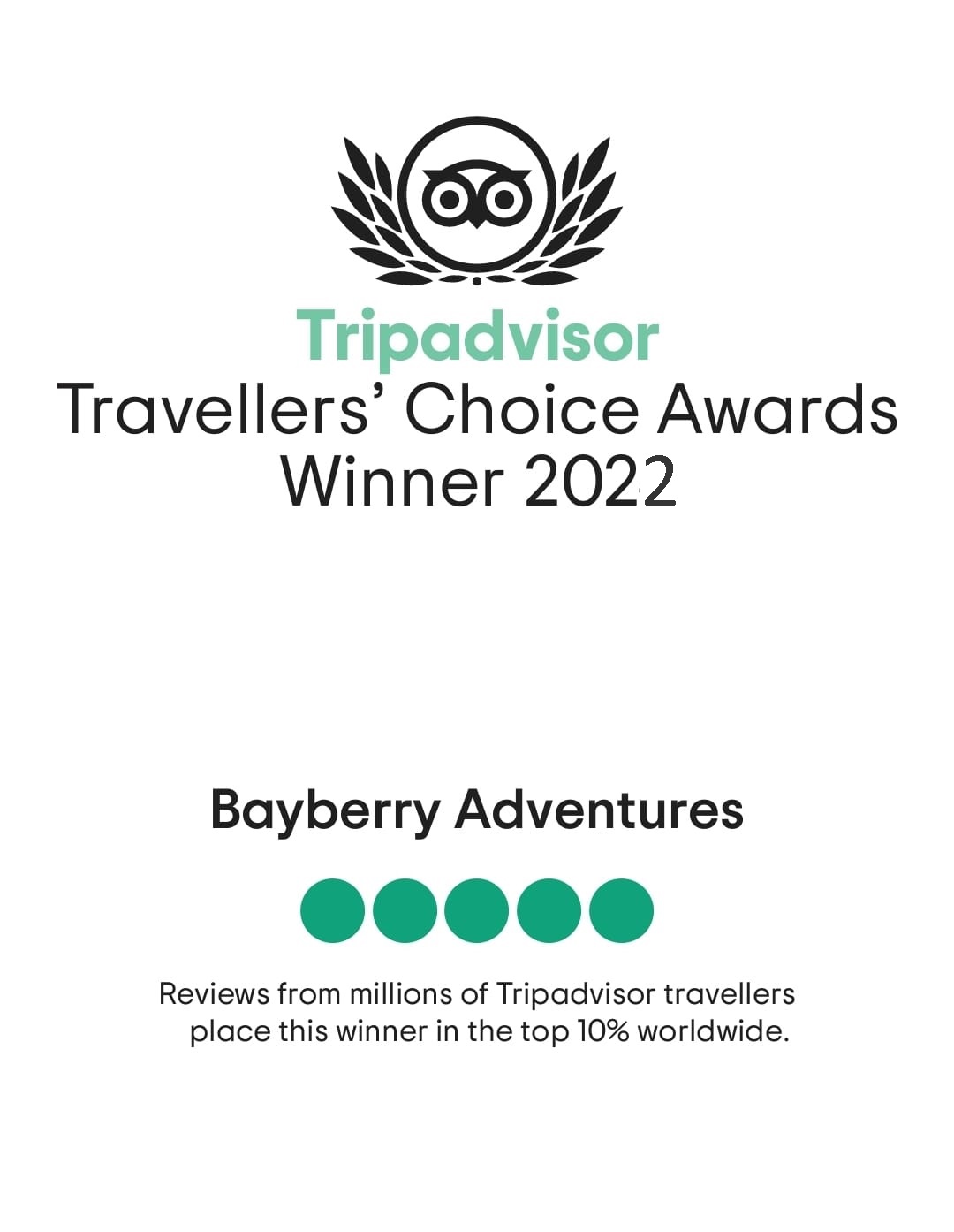 tripadvisor travellers' choice award 2022